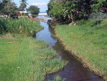 Scenic view of landscape