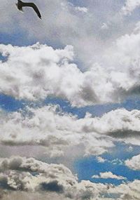 Low angle view of bird flying in sky