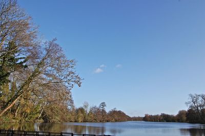 Scenic view of lake against clear blue sky