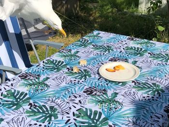 High angle view of tea on table in yard