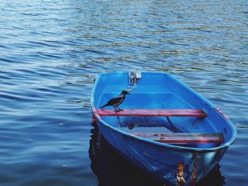 Crow perching on blue boat moored in lake