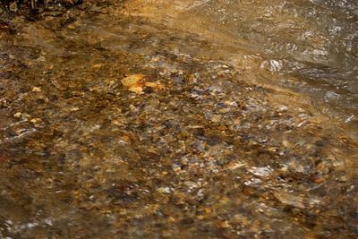 Full frame shot of rocks in water