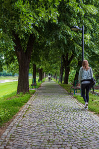 Rear view of woman walking on footpath in park