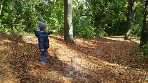 Boy pointing while standing on field in forest