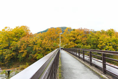 Road amidst trees against clear sky during autumn