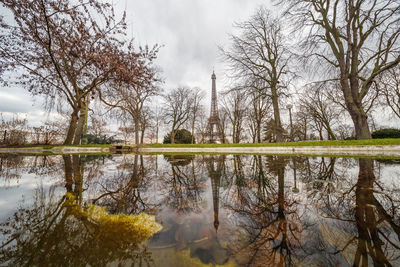Reflection of bare trees in water