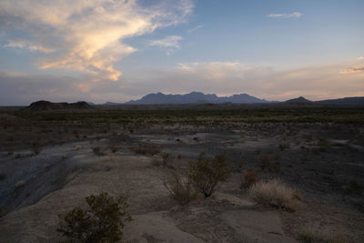 Scenic view of landscape against sky