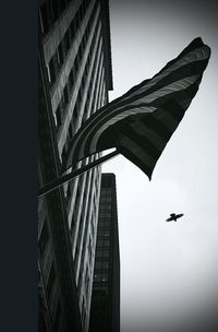 Low angle view of birds flying in sky