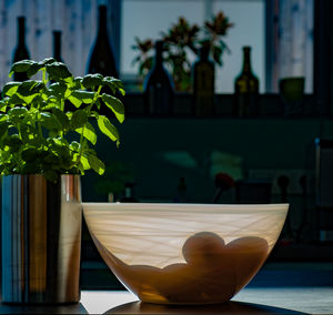 Close-up of potted plant on table