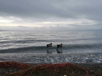 Scenic view of sea against sky