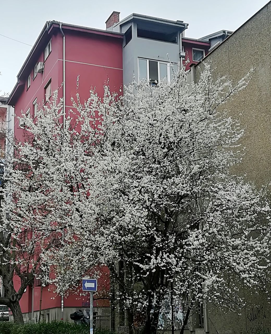 LOW ANGLE VIEW OF HOUSES AGAINST SKY