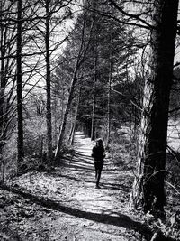 Rear view of man walking in forest