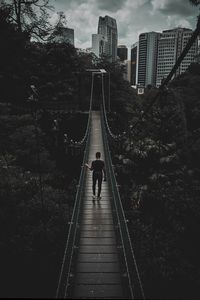 Rear view of man standing on bridge amidst trees