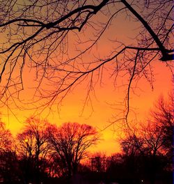 Silhouette of bare trees against sky at sunset