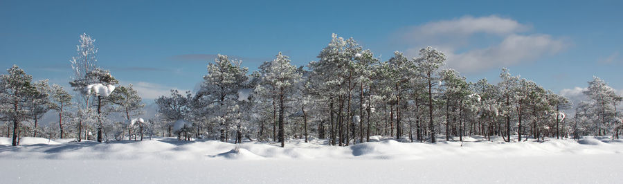 Trees on snow covered landscape against sky