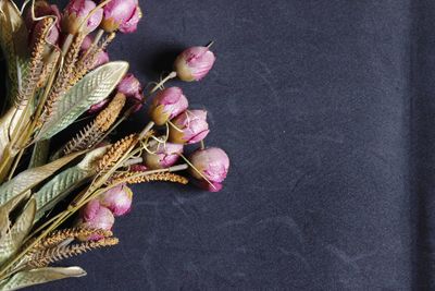 Close-up of flower against black background