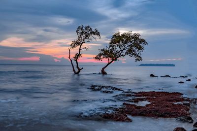 Scenic view of sea against sky at sunset