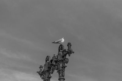 Low angle view of seagull perching on statue against sky