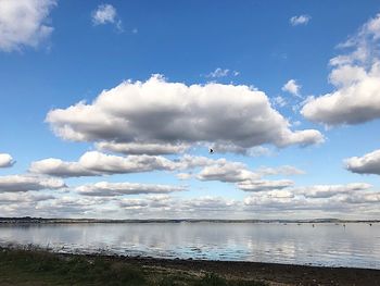 Birds flying over sea against sky