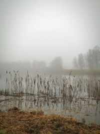 Scenic view of lake against sky during foggy weather