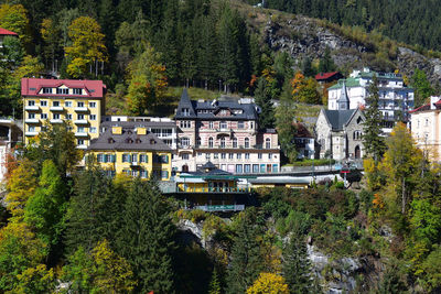 High angle view of trees and buildings in city