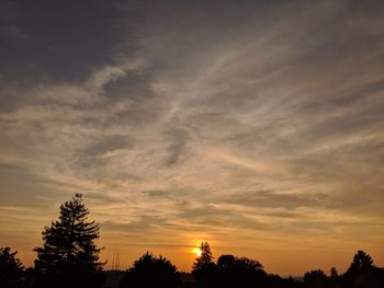 Low angle view of silhouette trees against sky during sunset