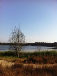 Scenic view of calm lake against clear sky