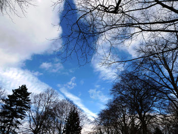 Low angle view of silhouette trees against sky