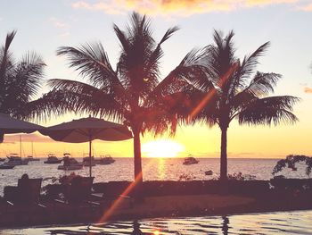 Silhouette palm trees by swimming pool against sky during sunset
