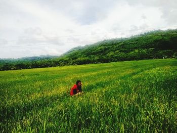 Rear view of man standing on grassy field