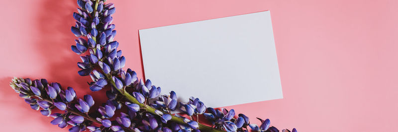 Close-up of pink flowering plant against wall