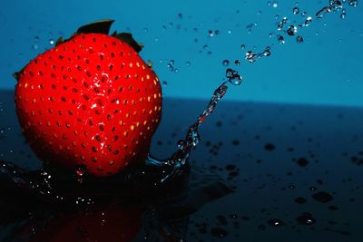 Close-up of water drops on fruit