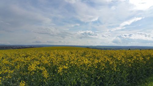 Scenic view of field against cloudy sky