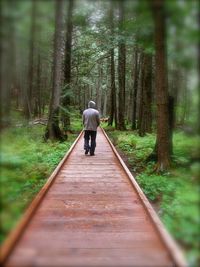 Rear view of man walking on footpath in forest