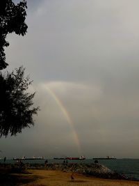 Scenic view of rainbow over trees against sky