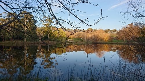 Reflection of bare trees in lake against sky