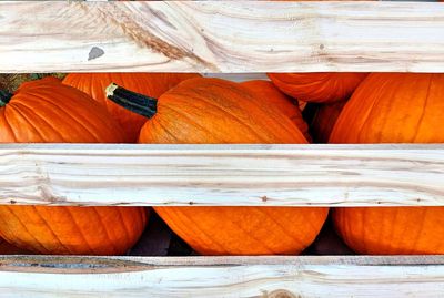 Close-up of pumpkins for sale