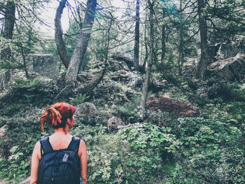 Rear view of woman standing by plants in forest