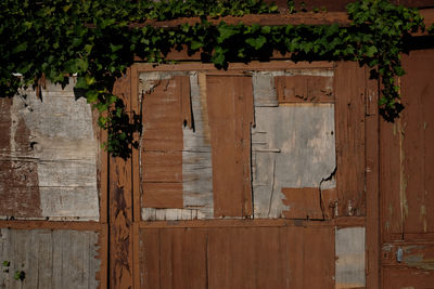 Old wooden door of building