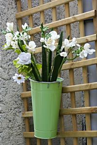 Close-up of flowers in vase