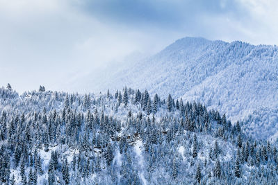 Snow covered landscape against sky