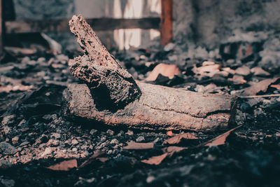 Close-up of rusty metal