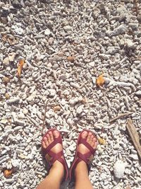 Low section of person standing on pebbles