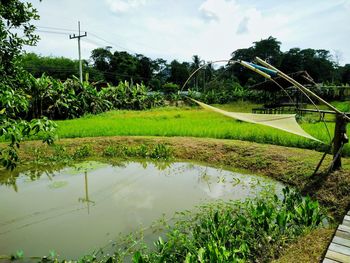 Scenic view of agricultural field against sky