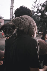 Rear view of man with dog