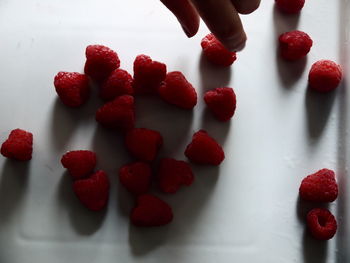 Midsection of person with red berries