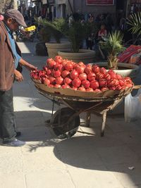 Various fruits in market for sale