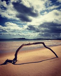 Driftwood on beach against sky