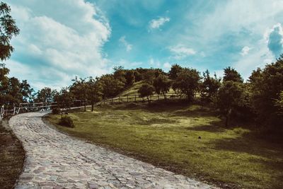 Empty road along trees and plants against sky