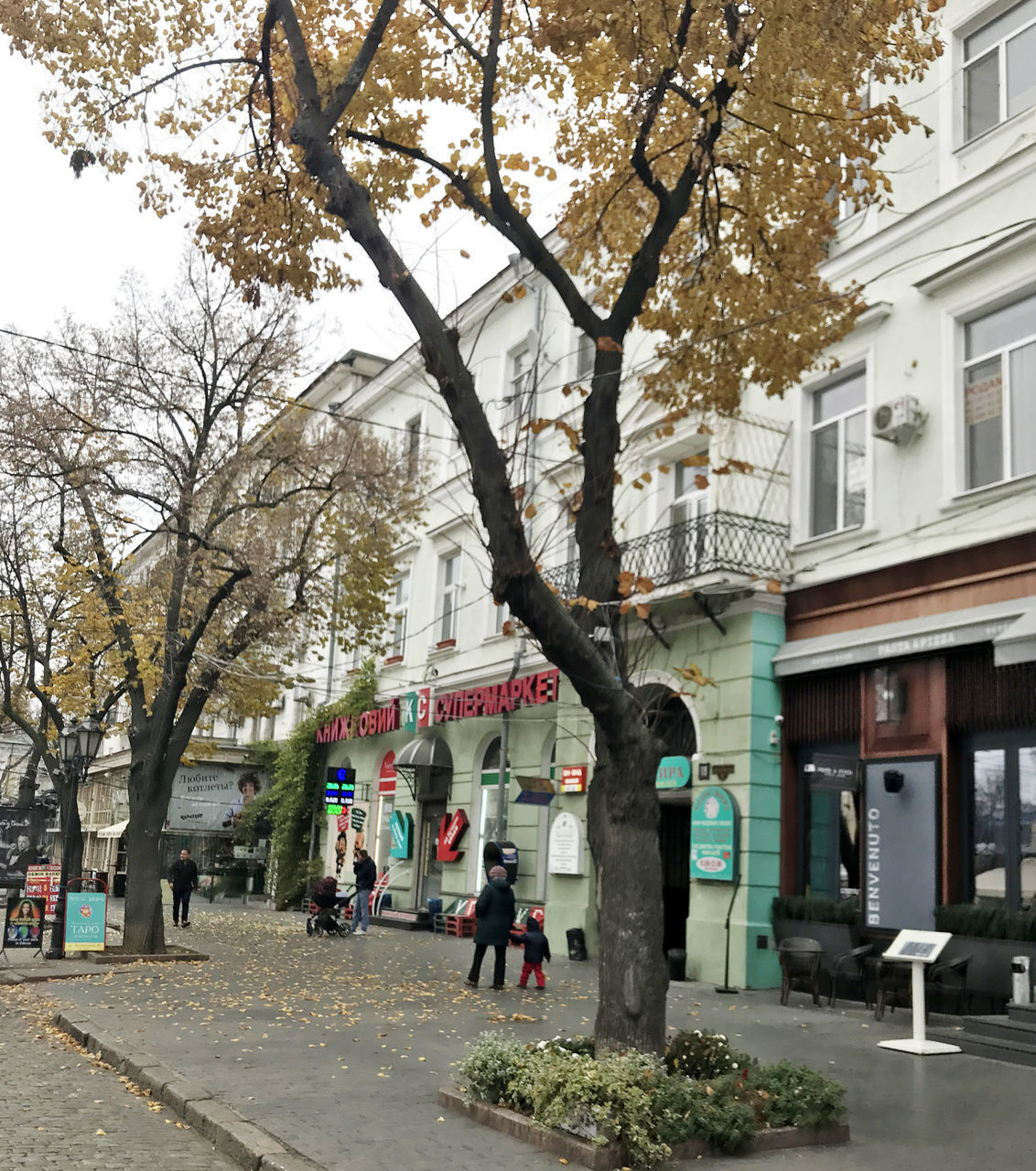 PEOPLE ON STREET BY TREE AGAINST SKY